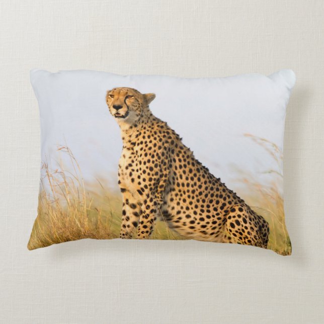 Cheetah Decorative Cushion (Back)