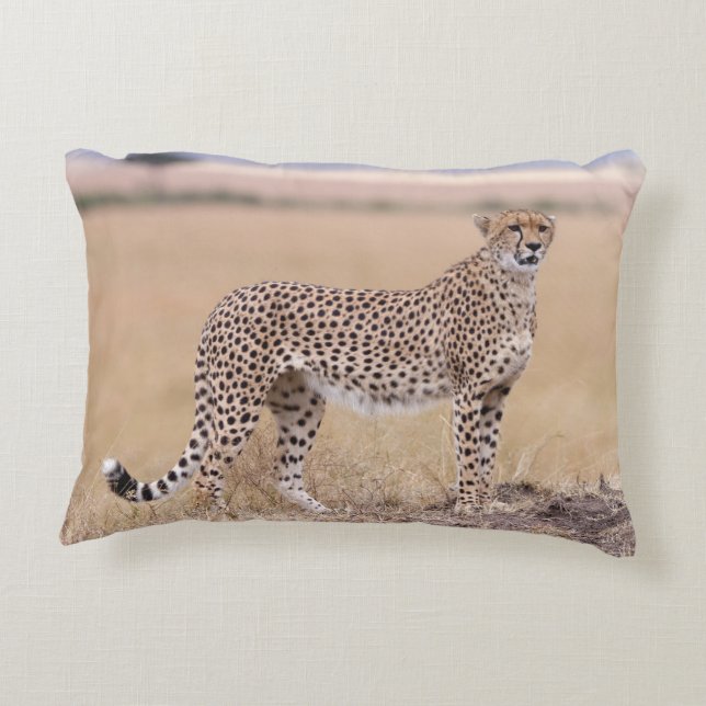 Cheetah Decorative Cushion (Back)