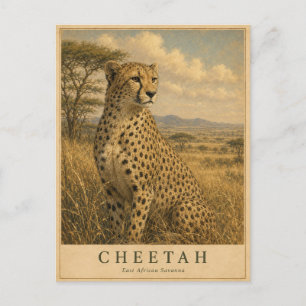Cheetah East African Savanna VINTAGE Postcard