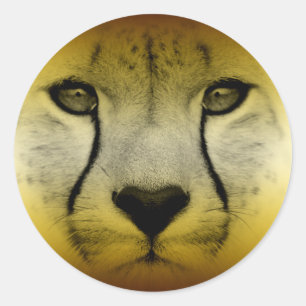 CHEETAH FACE CLASSIC ROUND STICKER