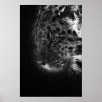 cheetah face close-up decorative sketch art