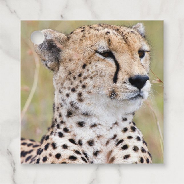 Cheetah Favour Tags (Front)