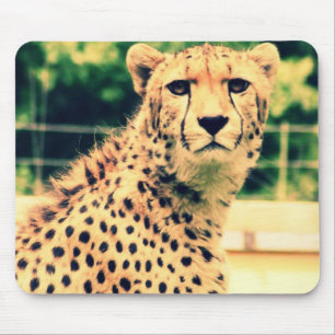 Cheetah glare mouse pad