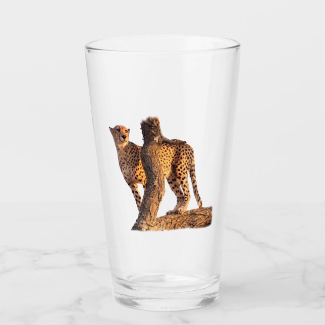 Cheetah Glass (Front)