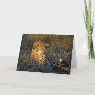 CHEETAH GREETING CARD