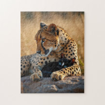 Cheetah Guardian, Kitten Heart