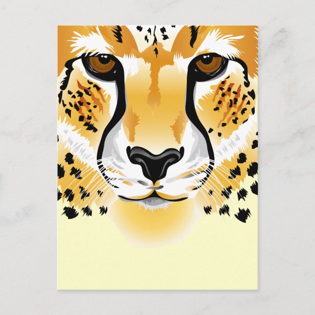 cheetah head close-up illustration postcard (Front)