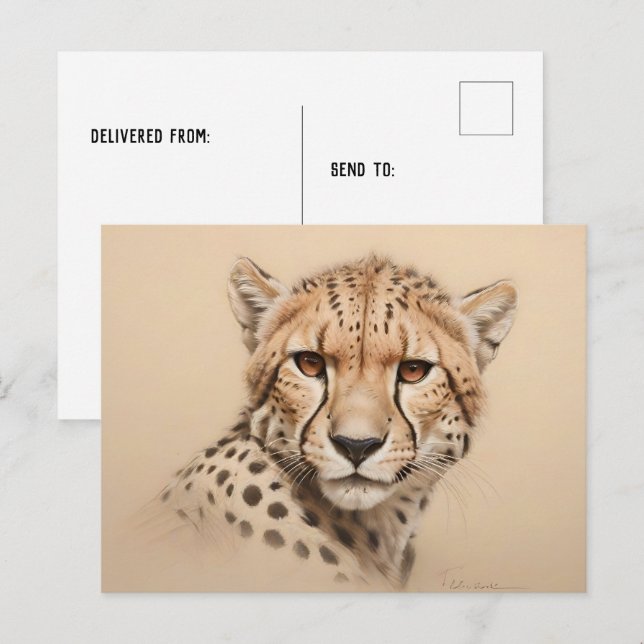 Cheetah head drawing birthday postcard (Front/Back)