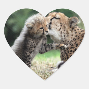 Cheetah Heart Sticker