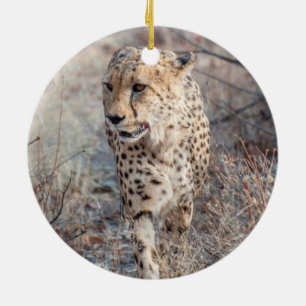 Cheetah Hunting Ceramic Tree Decoration