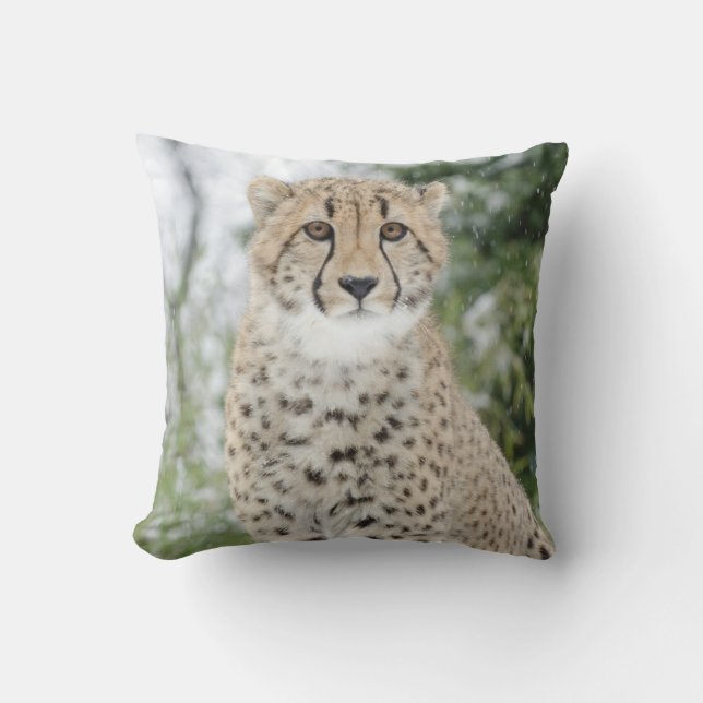 Cheetah in Snow Cushion (Front)