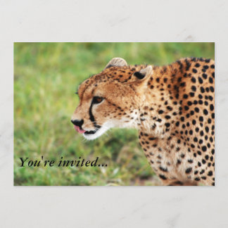 Cheetah Invitation Card