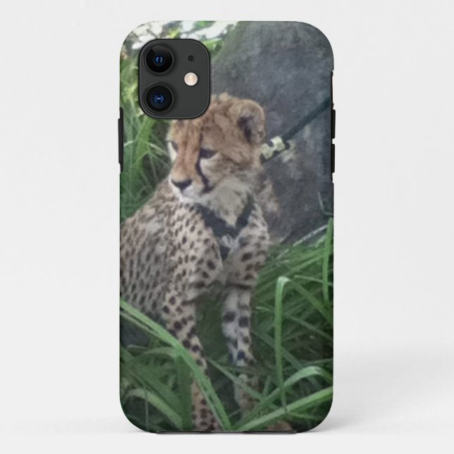Cheetah iPhone case (Back)
