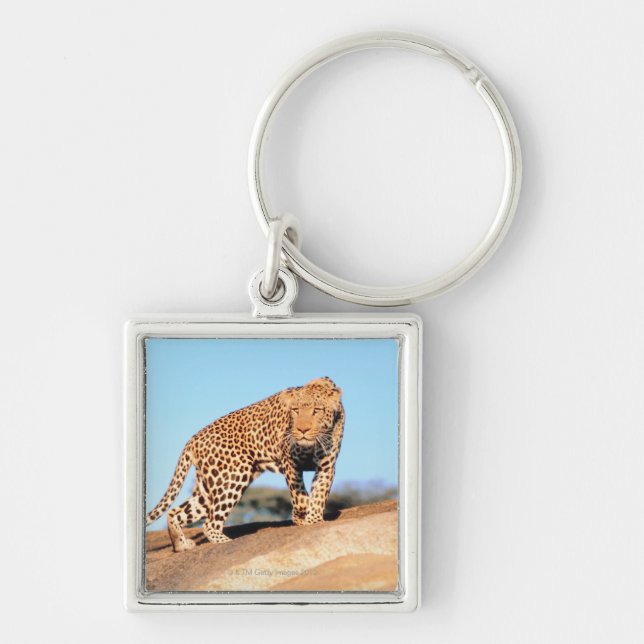 Cheetah Key Ring (Front)