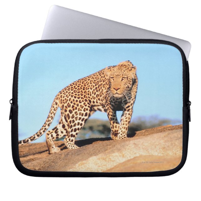 Cheetah Laptop Sleeve (Front)