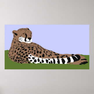 cheetah looking and down poster