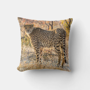 Cheetah Looking Around Cushion