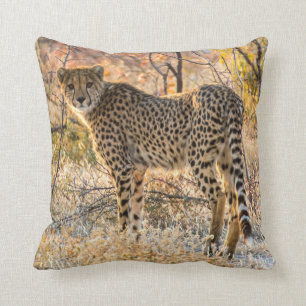 Cheetah Looking Around Cushion