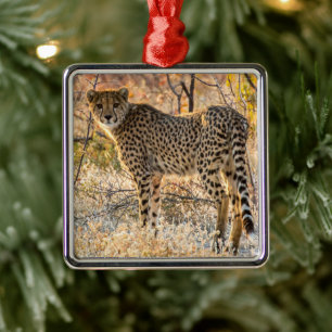Cheetah Looking Around Metal Tree Decoration