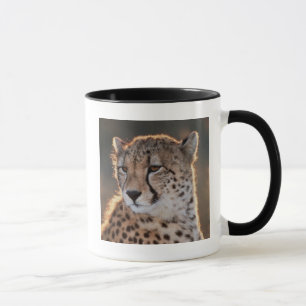 Cheetah looking away mug