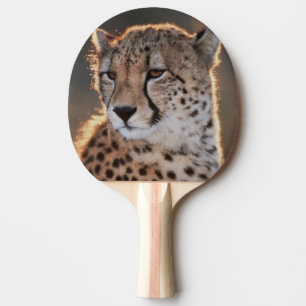 Cheetah looking away ping pong paddle