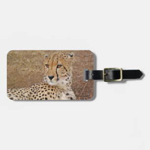 Cheetah Luggage Tag