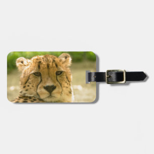 Cheetah Luggage Tag