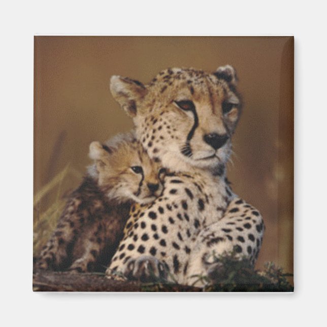 Cheetah Mother and Cub Magnet (Front)