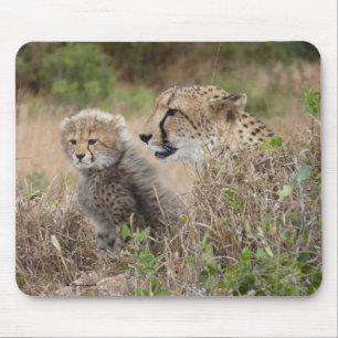 Cheetah Mother and Cub Mousepad