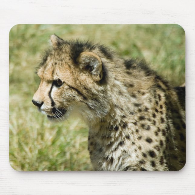 Cheetah Mouse Pad (Front)
