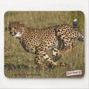 Cheetah Mouse Pad