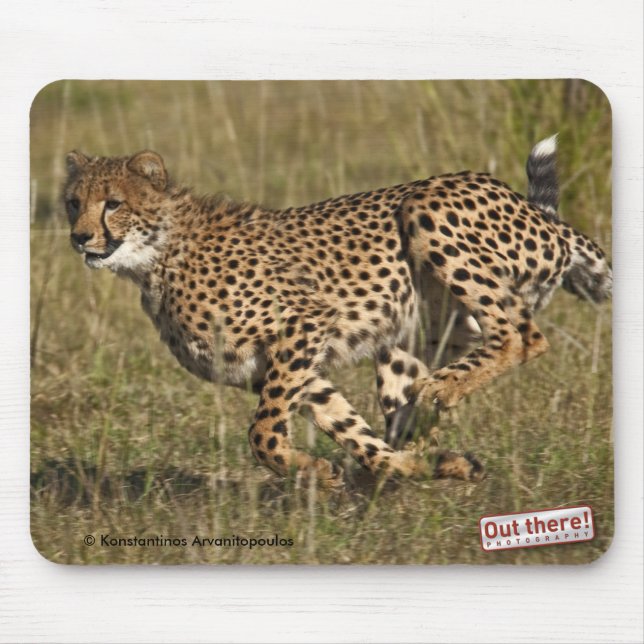 Cheetah Mouse Pad (Front)