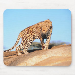 Cheetah Mouse Pad