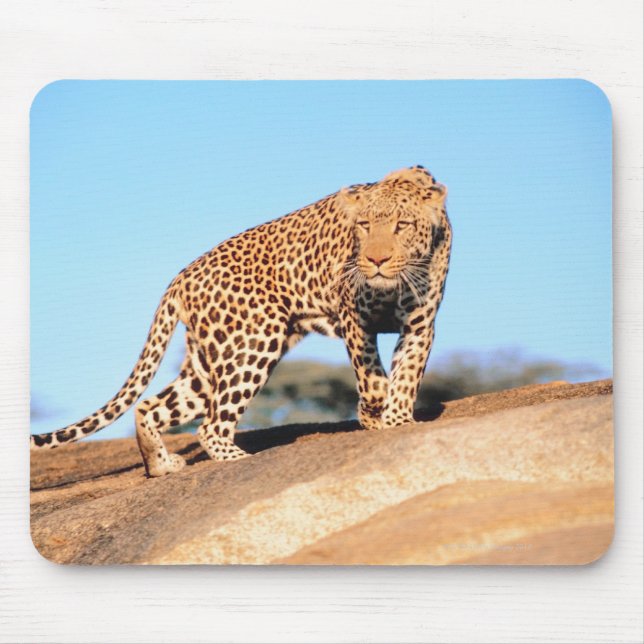 Cheetah Mouse Pad (Front)