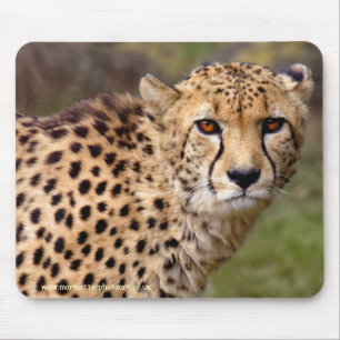 Cheetah Mousemat