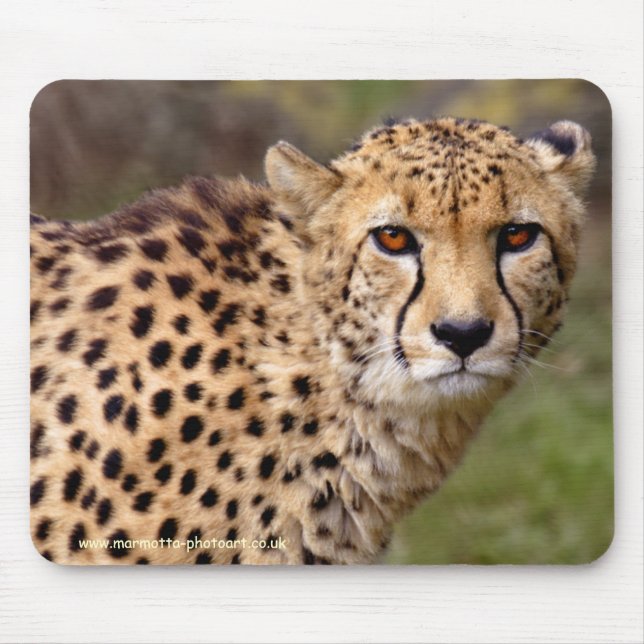 Cheetah Mousemat (Front)