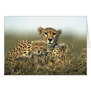 Cheetah Mum and Cub Card