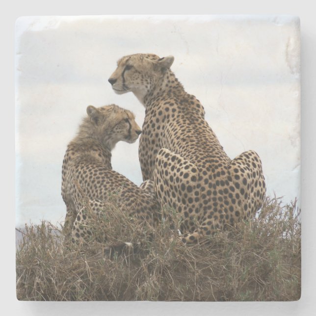 Cheetah Mum and Cub (full colour) Stone Coaster (Front)