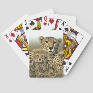 Cheetah Mum and Cub Playing Cards