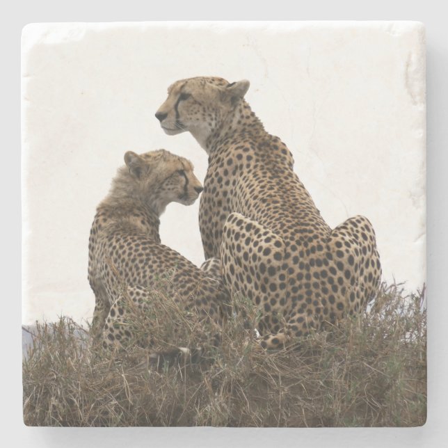 Cheetah Mum and Cub Stone Coaster (Front)