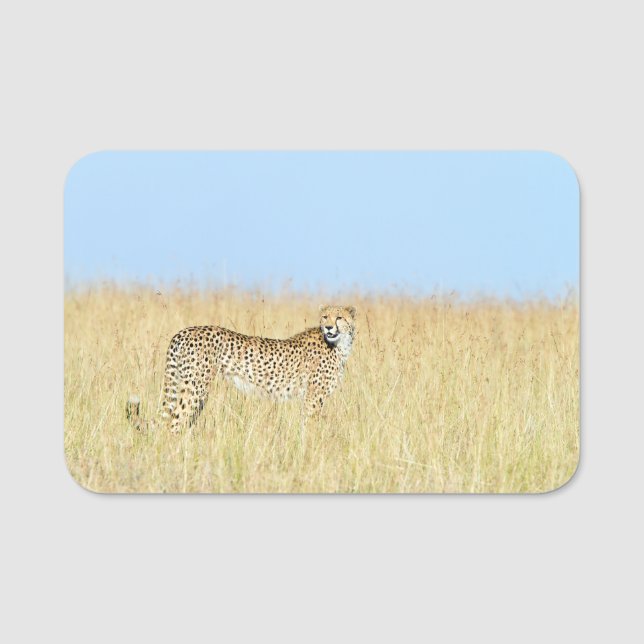 Cheetah Name Tag (Front)