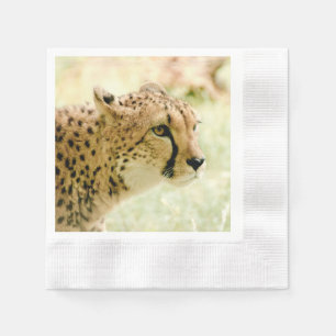 cheetah napkin