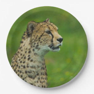 Cheetah On A Lookout Paper Plate