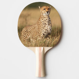 Cheetah on small mound for better visibility ping pong paddle