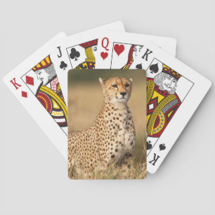 Cheetah on small mound for better visibility playing cards