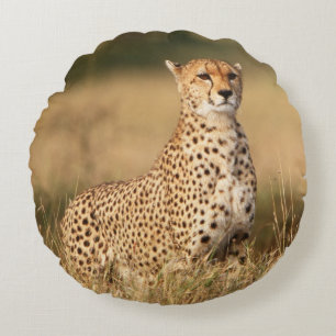 Cheetah on small mound for better visibility round cushion