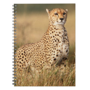 Cheetah on small mound for better visibility spiral notebook