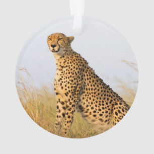 Cheetah Ornament