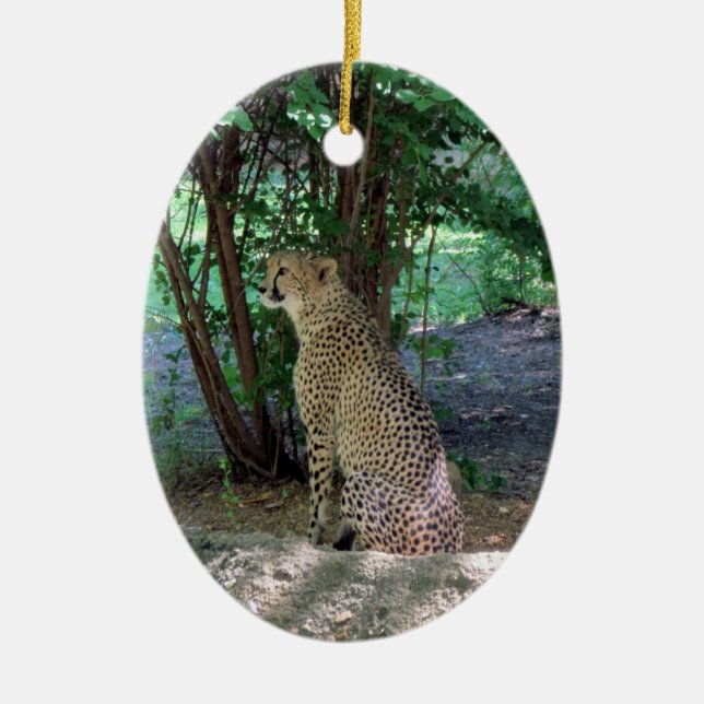Cheetah Ornament ~ Endangered Species Series (Front)