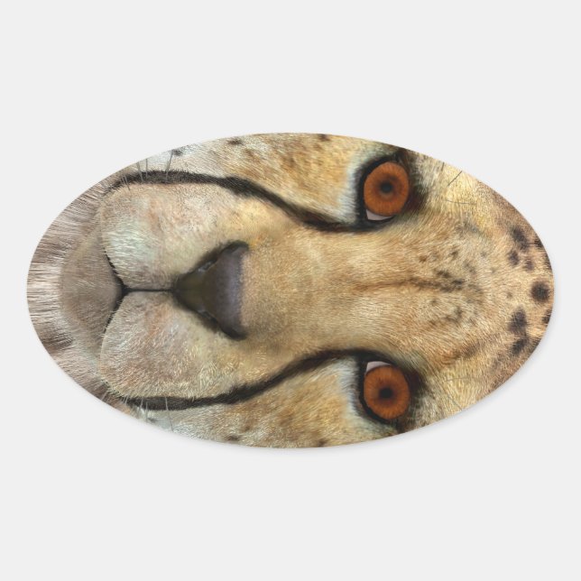 Cheetah Oval Sticker (Front)